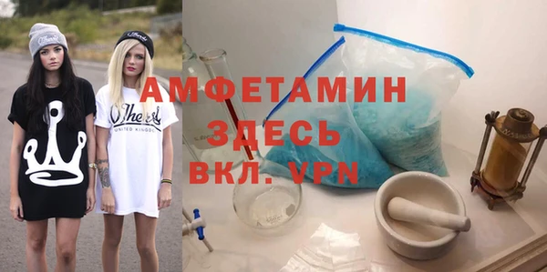 шишки Верхний Тагил